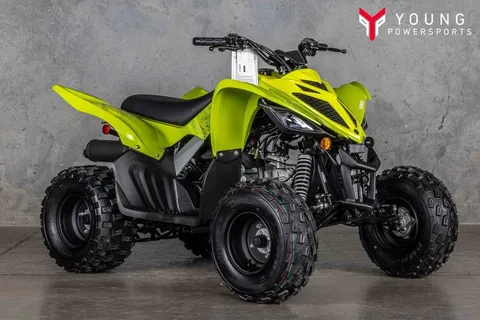 2026 YAMAHA RAPTOR 110